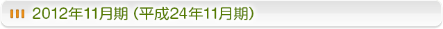 2012年11月期 (平成24年11月期)